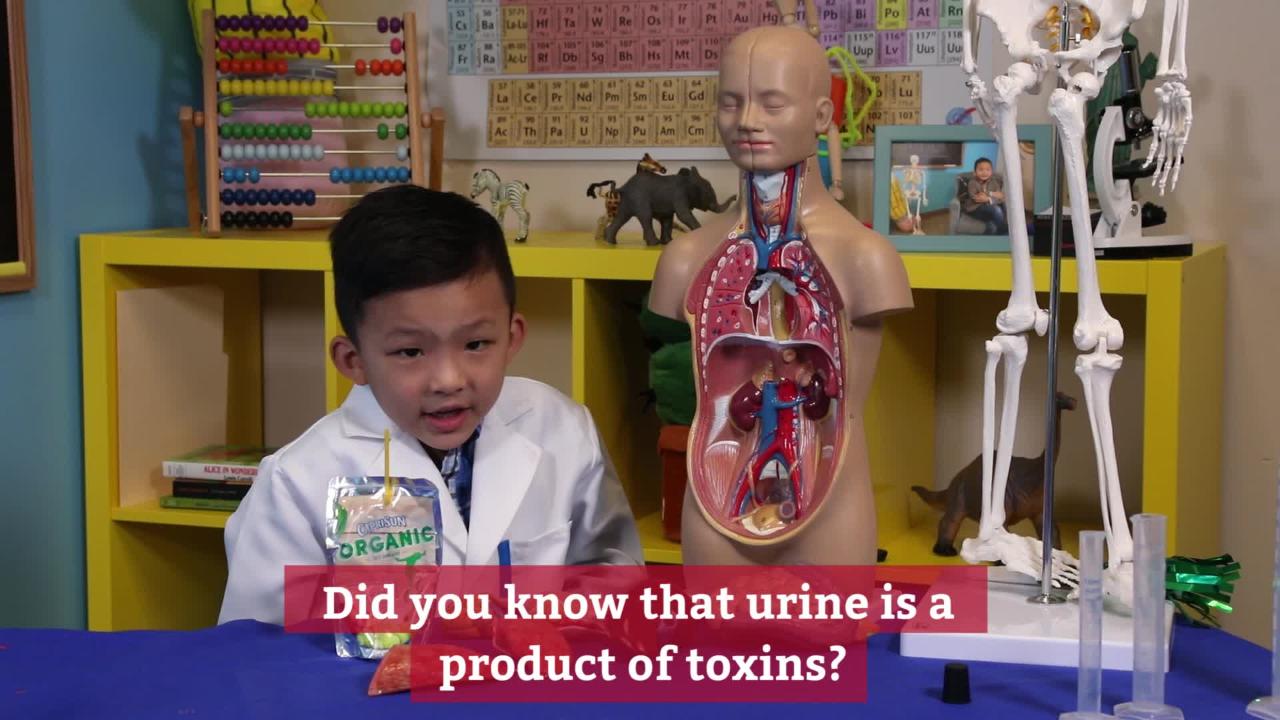 Meet smart kid Anson Wong | Anson's Answers