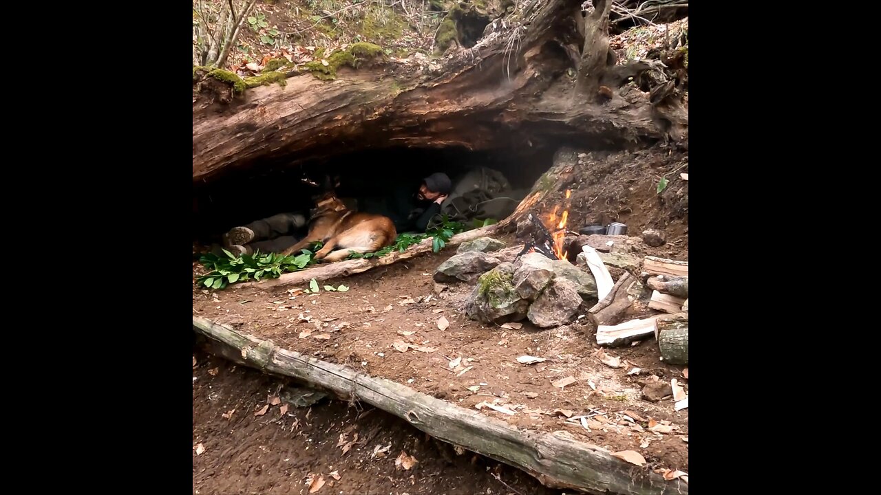 Wild Camping in Primitive Survival Shelter