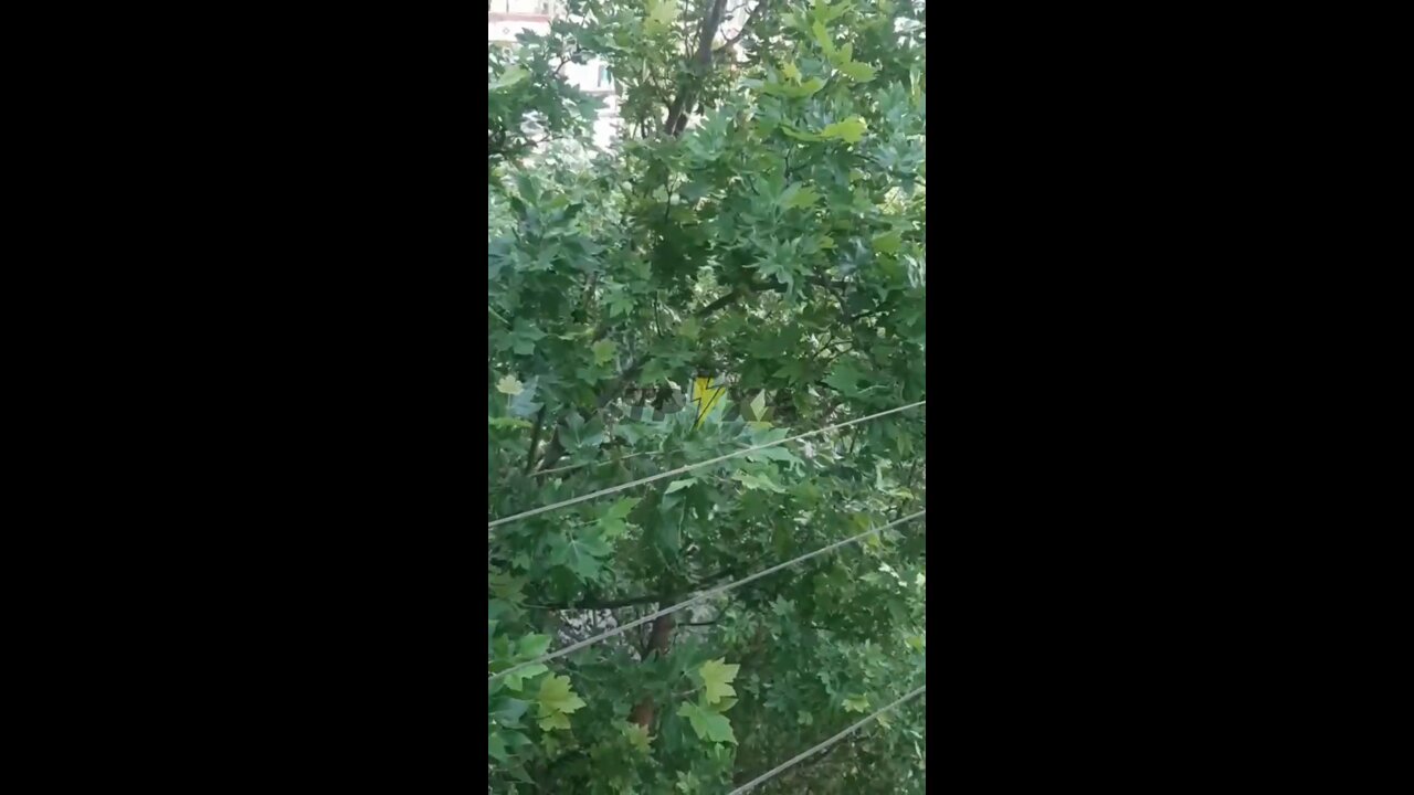 Heavy shelling heard in Nikolaev