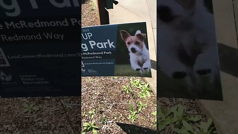 Pop up dog park jingle