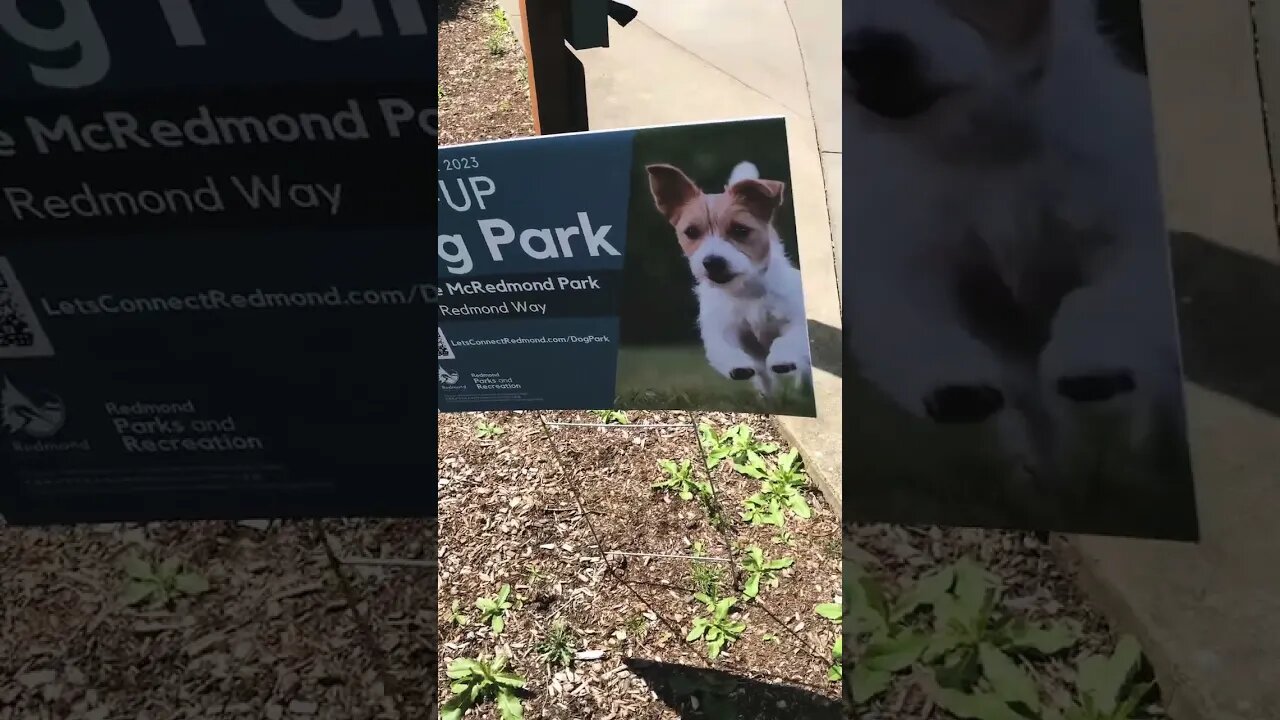 Pop up dog park jingle