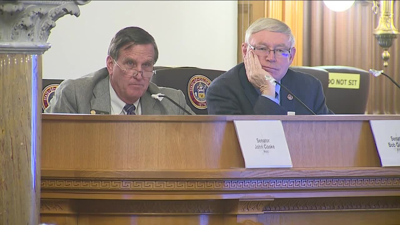Committee formed to investigate ethics complaint filed against state senator over judiciary comment