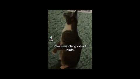 She was watching the tv