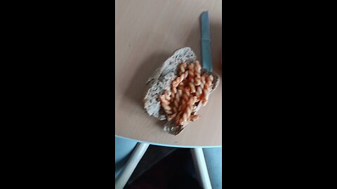 breakfast sandwich