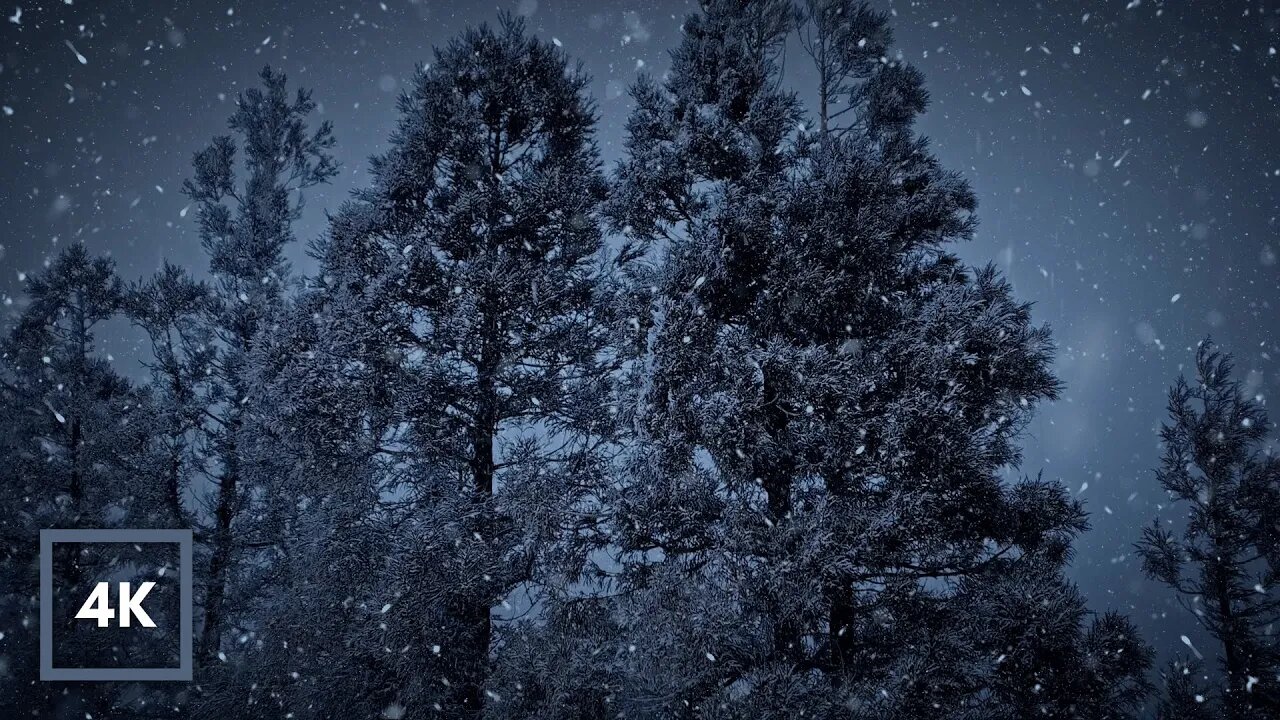 Snowstorm for SLEEP, Blizzard Sounds to Study. Wind Sounds to Block Noise. White Noise