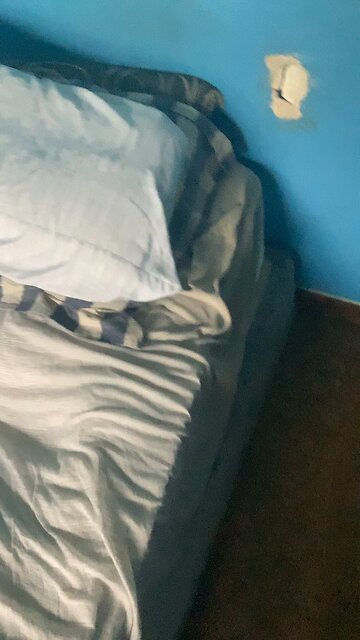 Ornamental Hermit fantasy