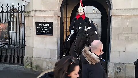 PUT YOUR HAND IN THE HORSES MOUTH THEN SAY DONT BITE ME #horseguardsparade