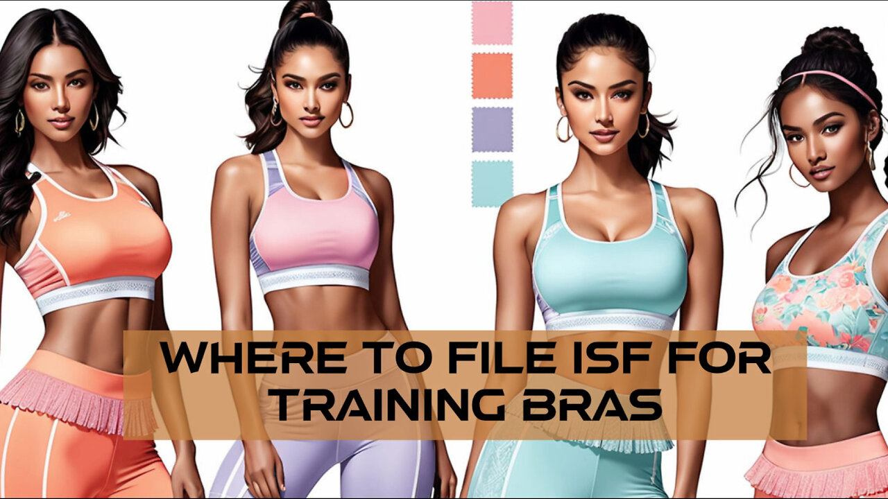 Simplifying ISF filing for training bras: Customs brokers vs. ABI software