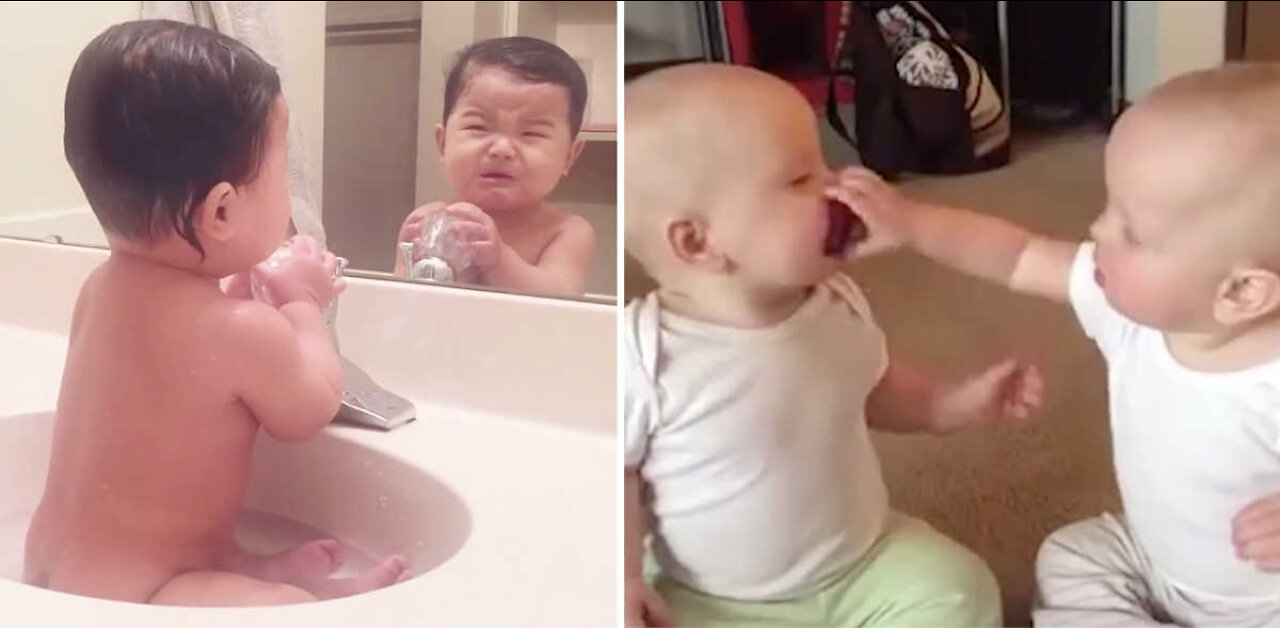 Funny Baby Videos | Cute Babies Very Funny Videoss