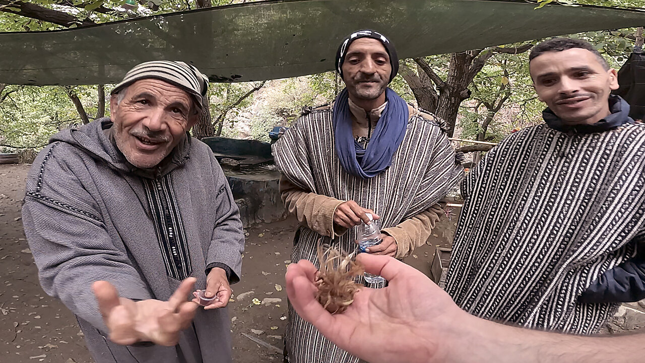 Inside Moroccan Berber Village on the Atlas Mountains 🇲🇦