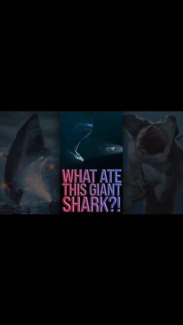 What Ate This Giant Shark?! 😱 #shorts