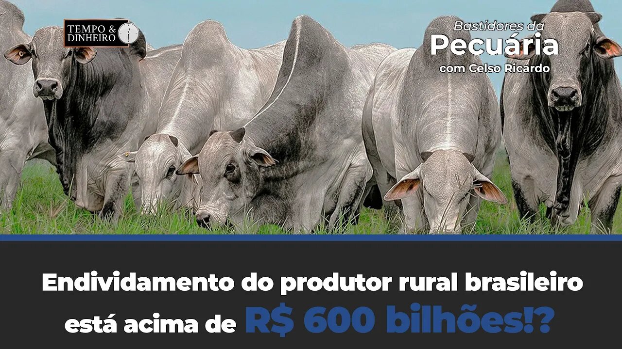 Endividamento do produtor rural brasileiro está acima de R$ 600 bilhões!? Celso Ricardo comenta!