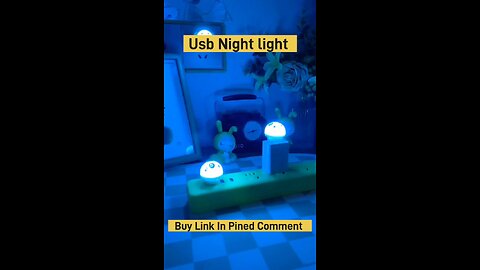Usb voice control night light