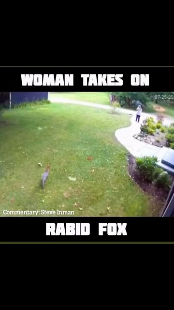 Rabid Fox vs Woman