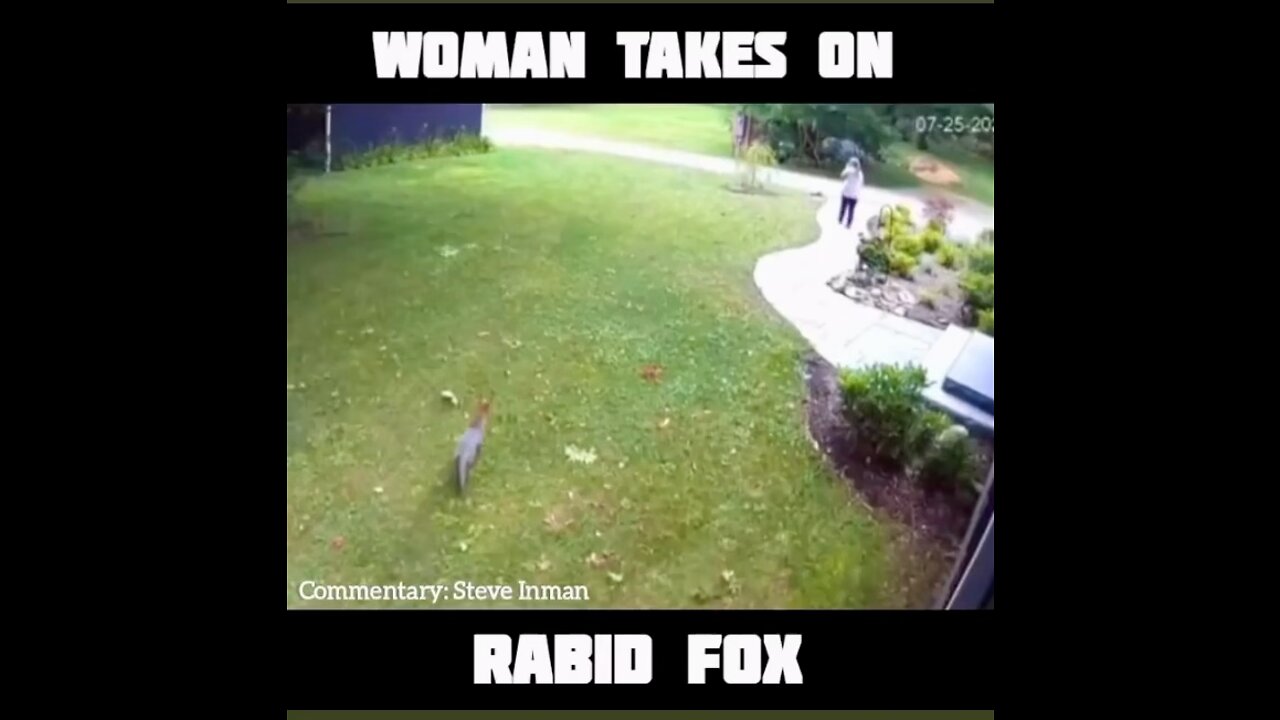 Rabid Fox vs Woman