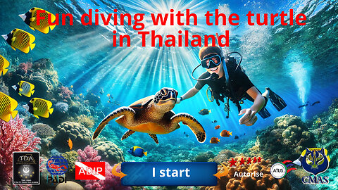 Fun diving with the turtle in Thailand