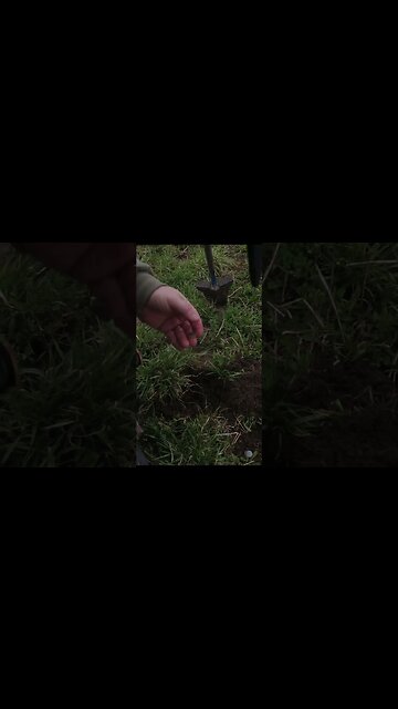 Canadian dime! #treasure #relic #coins #buttons #silverage #metaldetecting #history #coin #silver