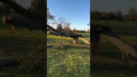 Hurricane Fiona Damage in Prince Edward Island