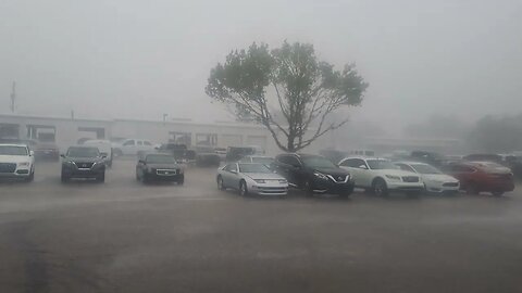 florida liquid sunshine