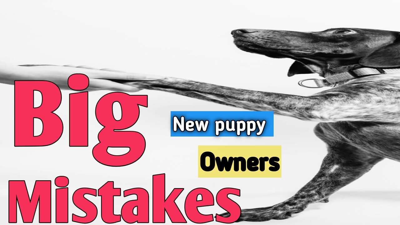 New dog owners make a big mistake in training a dog. new dog owners।Big mistake