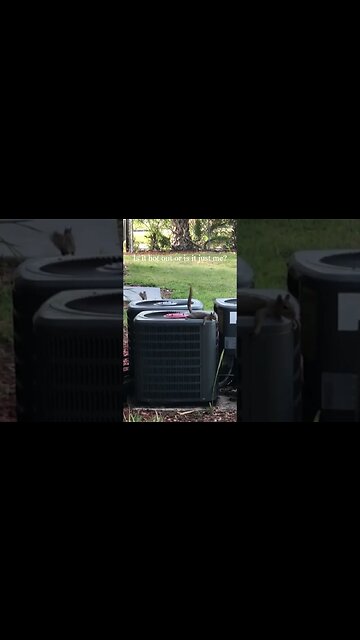 Squirrel just chillin'