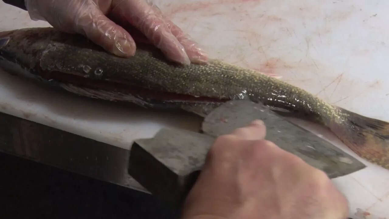 Jeff Moreau of Temple Bay Lodge demonstrates his axe fillet skills