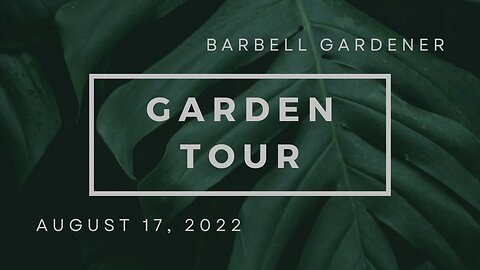 Aug 17, 2022 garden short tour