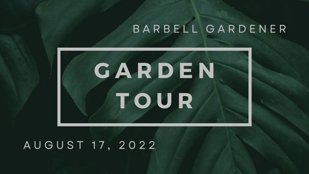 Aug 17, 2022 garden short tour