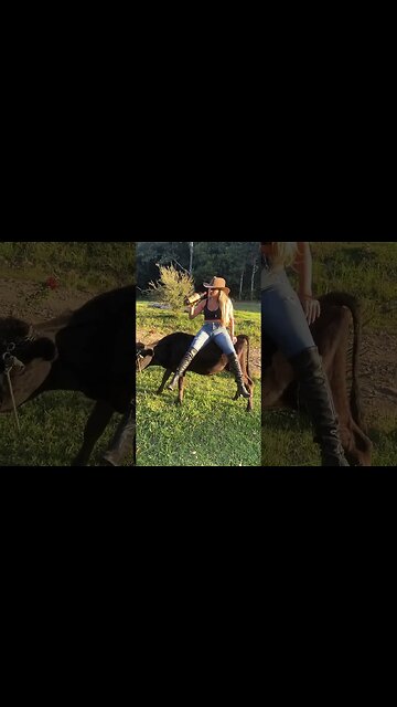 SHORT VIDEOS PREMIUM