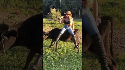 SHORT VIDEOS PREMIUM