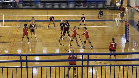 Jolee shaver volleyball