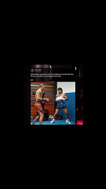 Dillon Danis claims he did six hard boxing rounds with Alex Pereira during their previous training