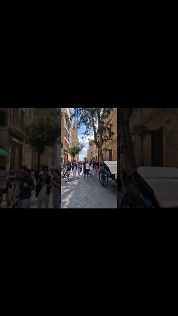 Palma De Mallorca Spain