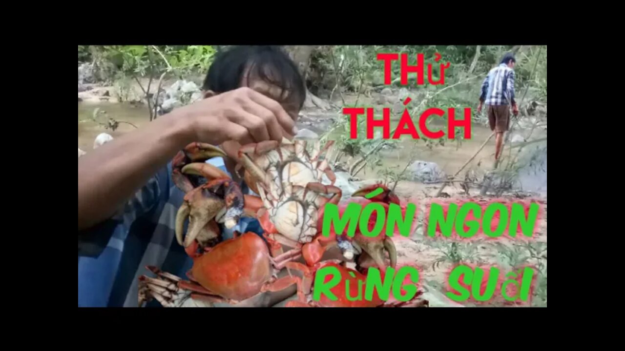 catching rock crabs to survive wild challenge sang89vlogs