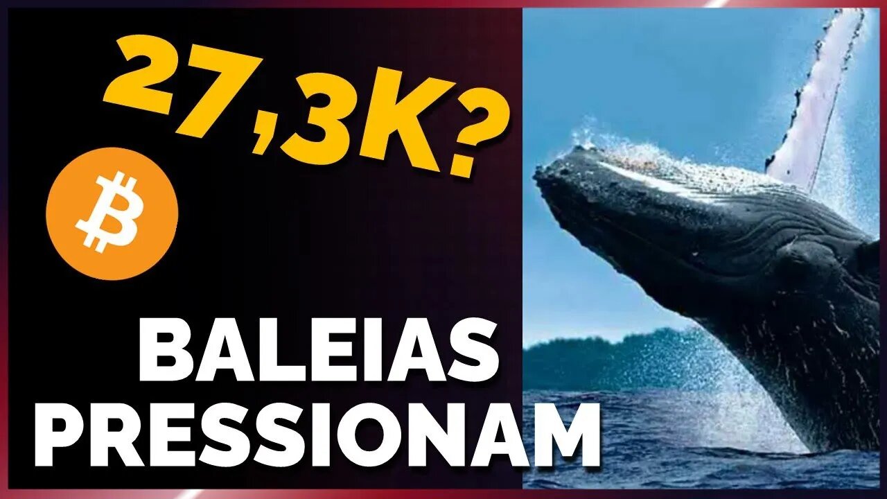 BALEIAS PRESSIONAM MERCADO: 27,3K? Análise on-chain Bitcoin