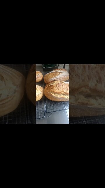 Baking in the Pico plus review in my main channel