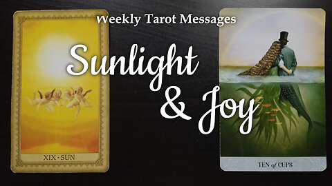 Sunlight & Joy - Weekly Tarot Messages