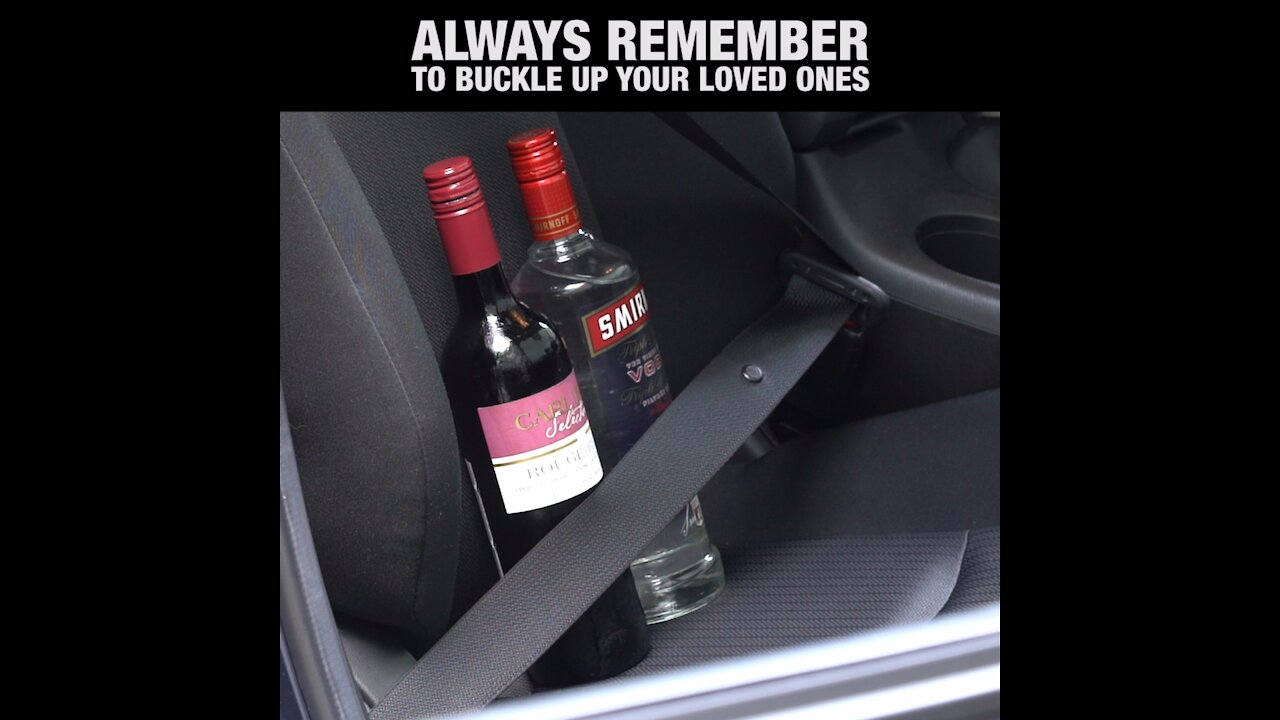 Always Remember to Buckle Up Your Loved Ones [GMG Originals]