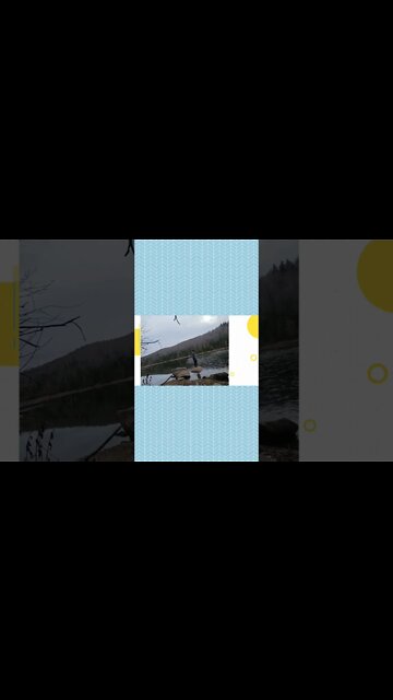 #ytshorts #trailer #documentary #travelvlog #epicday #outnow #bitchute