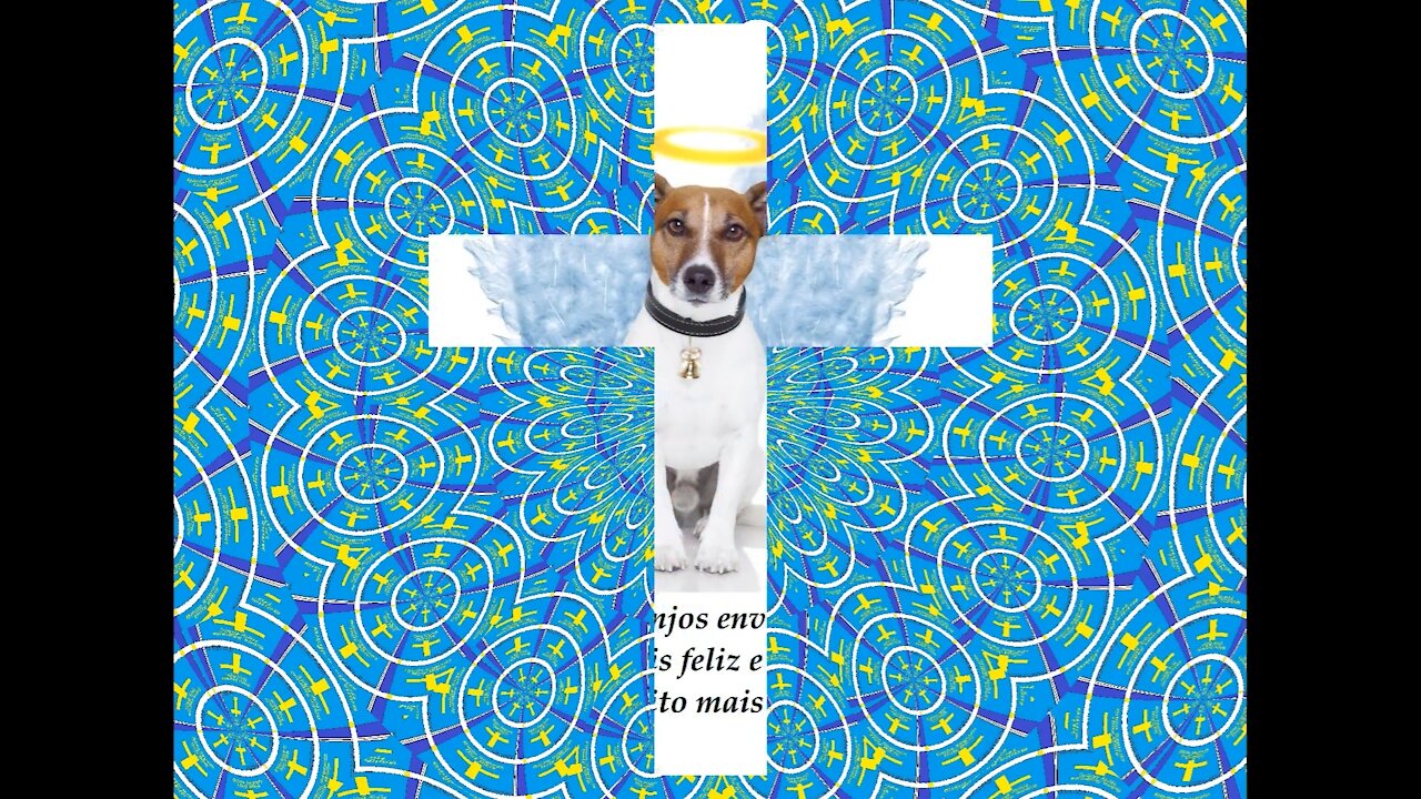 Os animais são pequenos anjos enviados por Deus, para alegrar nossos corações! [Frases e Poemas]