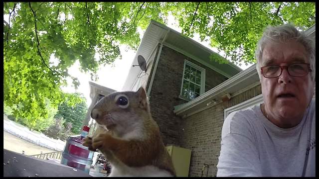 If You Think Squirrels Only LOOK Cute, Wait Until You Hear This One.