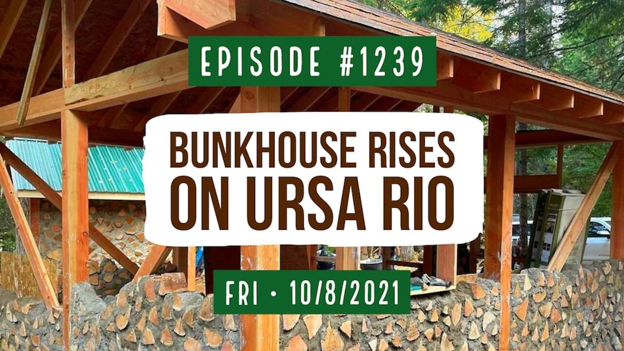 #1239 Bunkhouse Rises On Ursa Rio