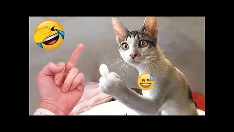 Funny animals video 😂😂😂