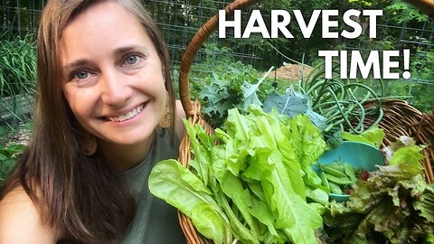 June Vegetable Harvest!