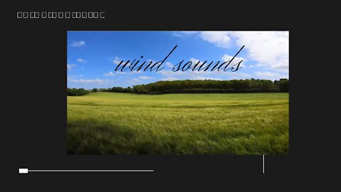 Wind sounds in the field