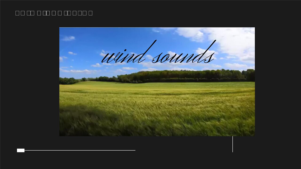 Wind sounds in the field