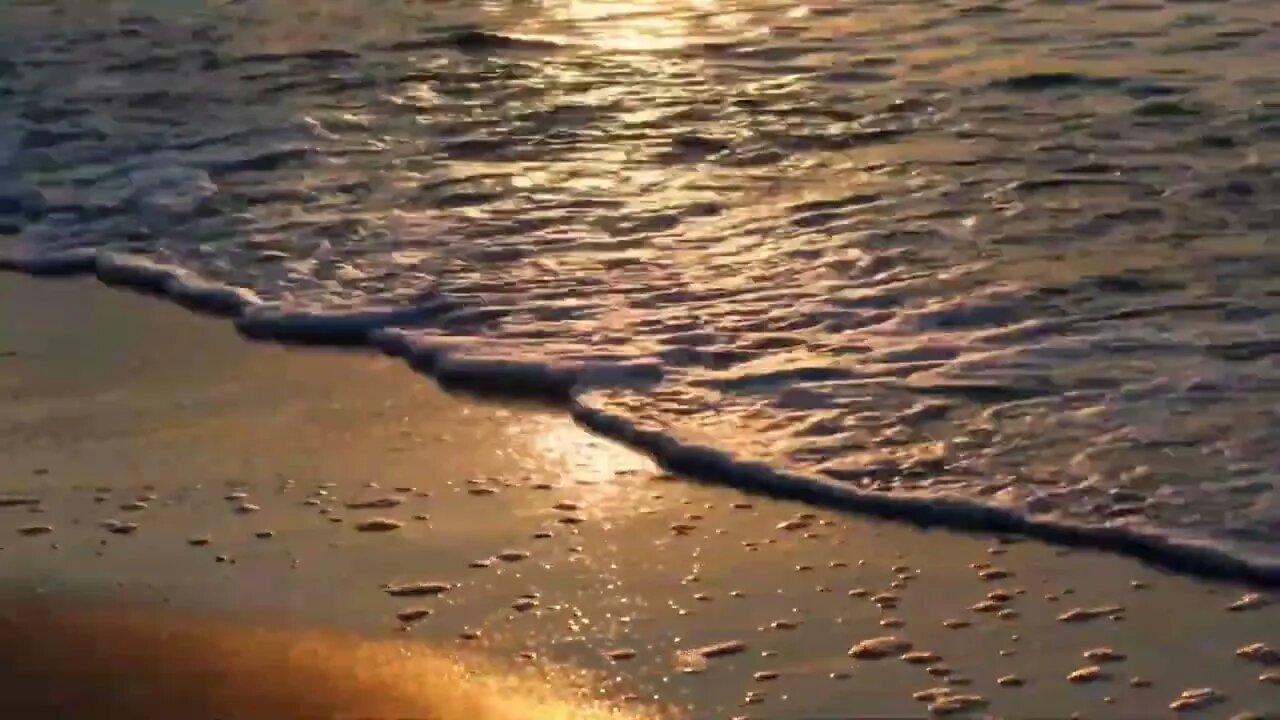 Free Stock Footage 4k Videos No Copyright Videos Sea Wave Golden Sand, Sands, Sea, Golden Sand
