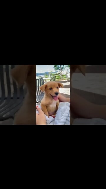 How to Best Meditate , # short