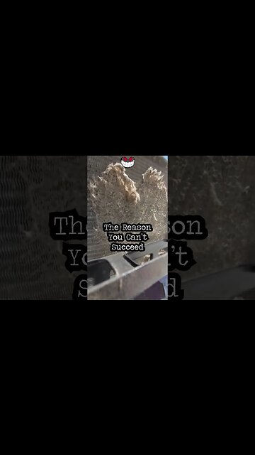 The Reality In Which You Must Succeed #quote #success #goals #reality