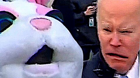 secret service bunny stops biden from talking